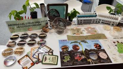 El grupo de Agricultura Sostenible y Biogeoquímica del ICA-CSIC participa en la semana de la ciencia 2025 con dos actividades paralelas